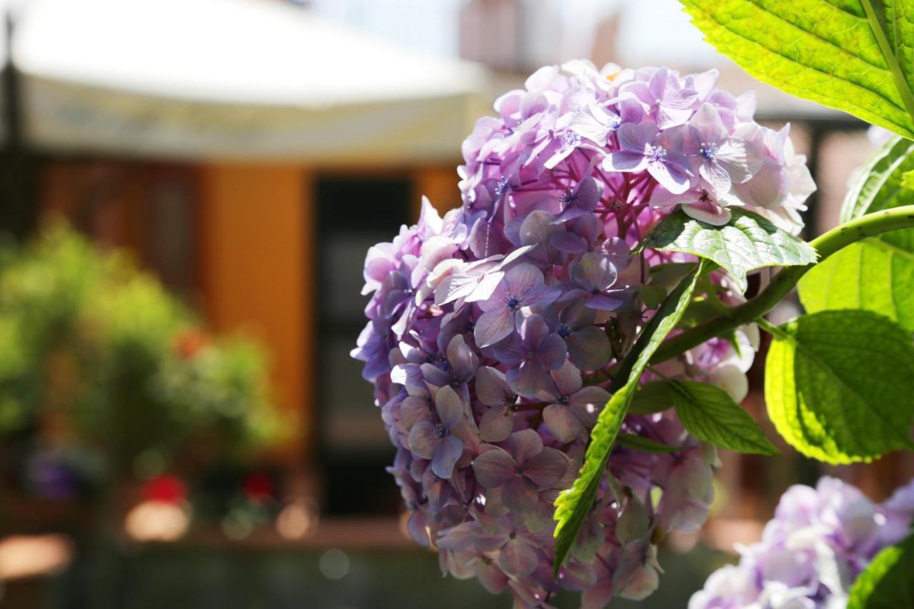 Vietri Casa Rosaria Amalfi Coast B&B 외부 사진