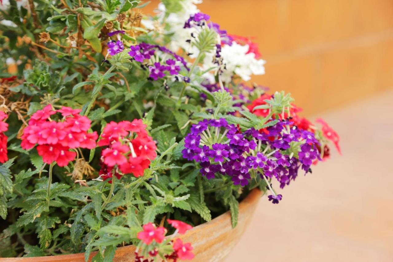 Vietri Casa Rosaria Amalfi Coast B&B 외부 사진
